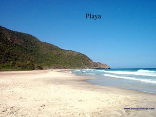 Playa
 