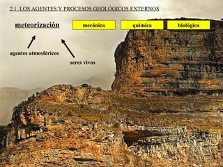 mecánica química biológica
2.1. LOS AGENTES Y PROCESOS GEOLÓGICOS EXTERNOS
agentes atmosféricos
seres vivos
meteorización
 