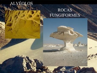 ALVÉOLOS
ROCAS
FUNGIFORMES
 
