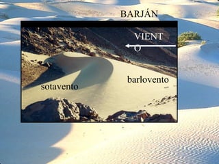 BARJÁN
VIENT
O
barlovento
sotavento
 