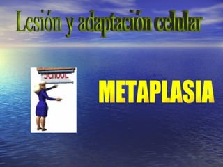 METAPLASIA Lesión y adaptación celular