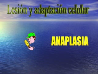 ANAPLASIA Lesión y adaptación celular