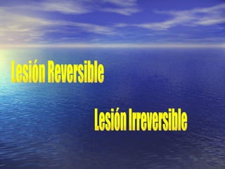 Lesión Reversible Lesión Irreversible