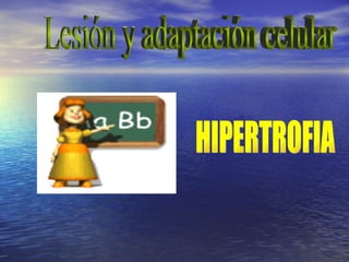 HIPERTROFIA Lesión y adaptación celular
