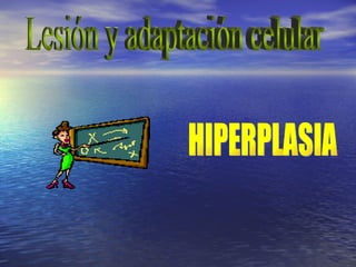 HIPERPLASIA Lesión y adaptación celular