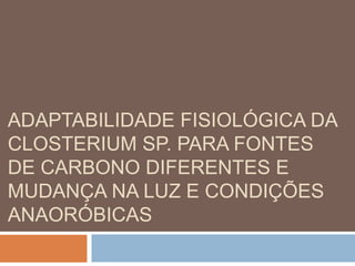 ADAPTABILIDADE FISIOLÓGICA DA 
CLOSTERIUM SP. PARA FONTES 
DE CARBONO DIFERENTES E 
MUDANÇA NA LUZ E CONDIÇÕES 
ANAORÓBICAS 
 
