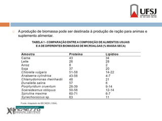  A produção de biomassa pode ser destinada à produção de ração para animas e 
suplemento alimentar. 
 