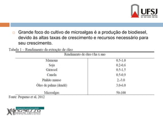  Grande foco do cultivo de microalgas é a produção de biodiesel, 
devido às altas taxas de crescimento e recursos necessário para 
seu crescimento. 
 