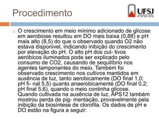 Procedimento 
 O crescimento em meio mínimo adicionado de glicose 
em aerobiose resultou em DO mais baixa (0,88) e pH 
mais alto (8,5) do que o observado quando O2 não 
estava disponível, indicando inibição do crescimento 
por elevação do pH. O alto pH dos cul- tivos 
aeróbicos iluminados pode ser explicado pelo 
consumo de CO2, causando de sequilíbrio nos 
agentes tamponantes do meio. Também foi 
observado crescimento nos cultivos mantidos em 
ausência de luz, tanto aerobicamente (DO final 1,0; 
pH fi- nal 5,5) quanto anaerobicamente (DO final 0,2; 
pH final 5,6), quando o meio continha glicose. 
Quando cultivada na ausência de luz, APS12 também 
mostrou perda de pig- mentação, provavelmente pela 
inibição da biosíntese de clorofila. Os dados de pH e 
DO estão na figura a seguir: 
 
