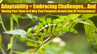 Adaptability = Embracing Challenges… And
Moving Past Them In A Way That Promotes Growth And/Or Performance!
 