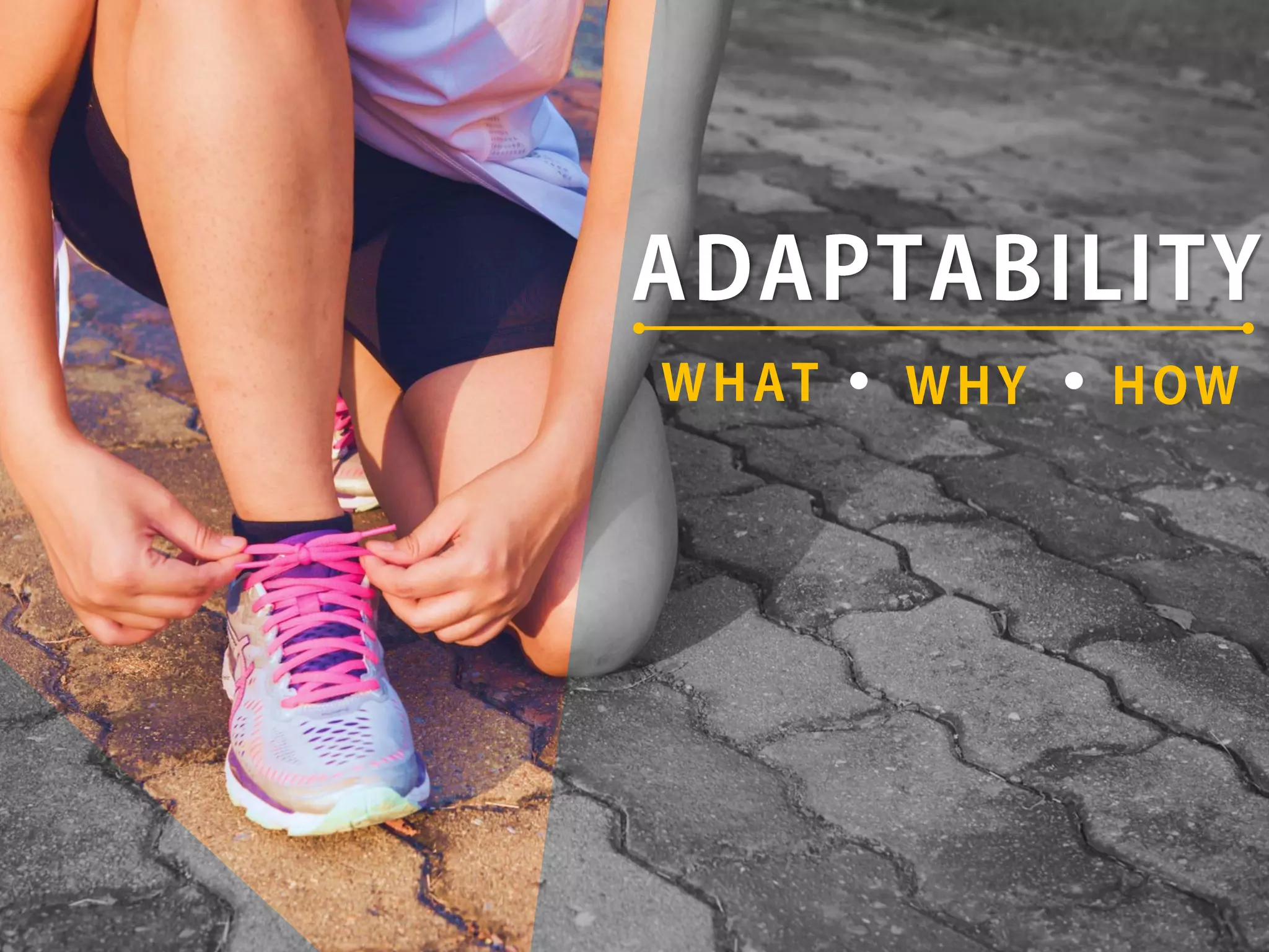 Adaptability Skill ( What, Why & How) | PPT