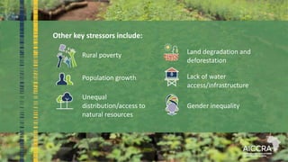 Other key stressors include:
Land degradation and
deforestation
Rural poverty
Lack of water
access/infrastructure
Population growth
Unequal
distribution/access to
natural resources
Gender inequality
 