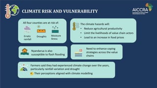 CLIMATE RISK AND VULNERABILITY
All four counties are at risk of: The climate hazards will:
Reduce agricultural productivity
• Limit the livelihoods of value chain actors
• Lead to an increase in food prices
Moisture
Stress
Erratic
rainfall
Droughts
Need to enhance coping
strategies across the value
chains
Nyandarua is also
susceptible to flash flooding
Farmers said they had experienced climate change over the years,
particularly rainfall variation and drought
• Their perceptions aligned with climate modelling
 
