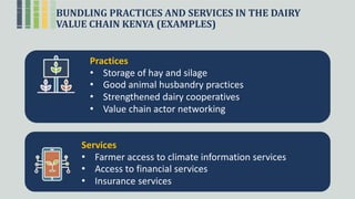 BUNDLING PRACTICES AND SERVICES IN THE DAIRY
VALUE CHAIN KENYA (EXAMPLES)
Practices
• Storage of hay and silage
• Good animal husbandry practices
• Strengthened dairy cooperatives
• Value chain actor networking
Services
• Farmer access to climate information services
• Access to financial services
• Insurance services
 