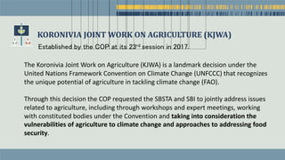 KORONIVIA JOINT WORK ON AGRICULTURE (KJWA)
Establishedꢀ
byꢀ
theꢀ
COPꢀ
atꢀ
itsꢀ
23rd sessionꢀ
inꢀ
2017.ꢀ
The Koronivia Joint Work on Agriculture (KJWA) is a landmark decision under the
United Nations Framework Convention on Climate Change (UNFCCC) that recognizes
the unique potential of agriculture in tackling climate change (FAO).
Through this decision the COP requested the SBSTA and SBI to jointly address issues
related to agriculture, including through workshops and expert meetings, working
with constituted bodies under the Convention and taking into consideration the
vulnerabilities of agriculture to climate change and approaches to addressing food
security.
 
