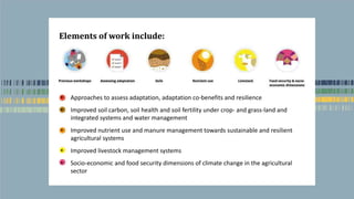 Elements of work include:
• Approaches to assess adaptation, adaptation co-benefits and resilience
• Improved soil carbon, soil health and soil fertility under crop- and grass-land and
integrated systems and water management
• Improved nutrient use and manure management towards sustainable and resilient
agricultural systems
• Improved livestock management systems
• Socio-economic and food security dimensions of climate change in the agricultural
sector
 