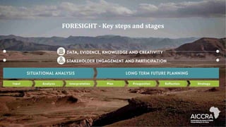 FORESIGHT - Key steps and stages
 