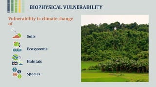 BIOPHYSICAL VULNERABILITY
Vulnerability to climate change
of
Soils
Ecosystems
Habitats
Species
 