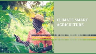 CLIMATE SMART
AGRICULTURE
 