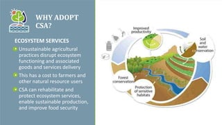 WHY ADOPT
CSA?
ECOSYSTEM SERVICES
• Unsustainable agricultural
practices disrupt ecosystem
functioning and associated
goods and services delivery
• This has a cost to farmers and
other natural resource users
• CSA can rehabilitate and
protect ecosystem services,
enable sustainable production,
and improve food security
 