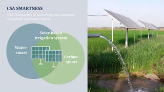 CSA SMARTNESS
OneꢀCSAꢀpracticeꢀorꢀtechnologyꢀcanꢀcontributeꢀ
toꢀmultipleꢀsmartnessꢀcriteria
Solar-based
irrigation system
Water-
smart
Carbon-
smart
 