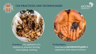 CSA PRACTICES AND TECHNOLOGIES
Practices - the application of a
method e.g. precision farming,
intercropping, mulching
Technologies
- new materials used e.g.
improved seeds, efficient irrigation
equipment, slow-release fertilisers
 