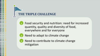 TRIPLE CHALLENGE
1 Food security and nutrition: need for increased
quantity, quality and diversity of food,
everywhere and for everyone
2 Need to adapt to climate change
3 Need to contribute to climate change
mitigation
 