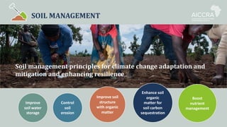 SOIL MANAGEMENT
Soil management principles for climate change adaptation and
mitigation and enhancing resilience
Enhance soil
organic
matter for
soil carbon
sequestration
Improve soil
structure
with organic
matter
Boost
nutrient
management
Improve
soil water
storage
Control
soil
erosion
 