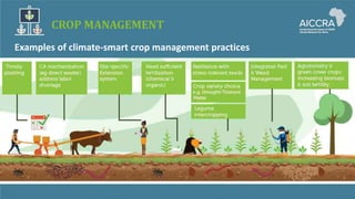 CROP MANAGEMENT
Examples of climate-smart crop management practices
 