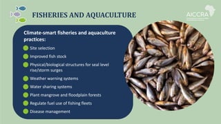 FISHERIES AND AQUACULTURE
Climate-smart fisheries and aquaculture
practices:
Site selection
Improved fish stock
Physical/biological structures for seal level
rise/storm surges
Weather warning systems
Water sharing systems
Plant mangrove and floodplain forests
Regulate fuel use of fishing fleets
Disease management
 