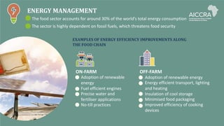 ENERGY MANAGEMENT
The food sector accounts for around 30% of the world’s total energy consumption
The sector is highly dependent on fossil fuels, which threatens food security
EXAMPLES OF ENERGY EFFICIENCY IMPROVEMENTS ALONG
THE FOOD CHAIN
ON-FARM
• Adoption of renewable
energy
• Fuel efficient engines
• Precise water and
fertiliser applications
• No-till practices
OFF-FARM
• Adoption of renewable energy
• Energy efficient transport, lighting
and heating
• Insulation of cool storage
• Minimised food packaging
• Improved efficiency of cooking
devices
 