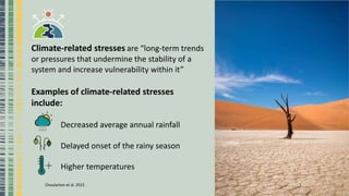 Climate-related stresses are “long-term trends
or pressures that undermine the stability of a
system and increase vulnerability within it”
Examples of climate-related stresses
include:
Decreased average annual rainfall
Delayed onset of the rainy season
Higher temperatures
Choularton et al. 2015 .
 