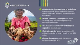 GENDER AND CSA
• Gender productivity gaps exist in agriculture
due to traditional gender-based discrimination,
women have fewer privileges, entitlements and
endowments
• Women face more challenges than men in
accessing, using and controlling productive
resources and services
This affects their vulnerability and adaptive
capacity to climate threats
• Closing the gender gap in agriculture would
reduce the number of hungry people by 100–150
million
• Climate change exacerbates the existing
barriers that women face
 