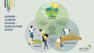 GENDER –
CLIMATE
CHANGE –
AGRICULTURE
NEXUS
 