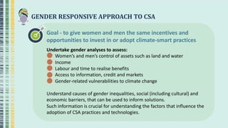 GENDER RESPONSIVE APPROACH TO CSA
Goal - to give women and men the same incentives and
opportunities to invest in or adopt climate-smart practices
Undertake gender analyses to assess:
Women’s and men’s control of assets such as land and water
Income
Labour and time to realise benefits
Access to information, credit and markets
Gender-related vulnerabilities to climate change
Understand causes of gender inequalities, social (including cultural) and
economic barriers, that can be used to inform solutions.
Such information is crucial for understanding the factors that influence the
adoption of CSA practices and technologies.
 