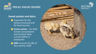 Climate smart agriculture prioritization and policy making