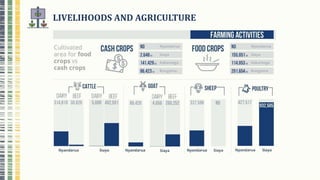 Climate smart agriculture prioritization and policy making