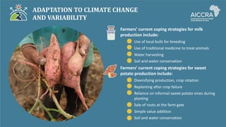 Climate smart agriculture prioritization and policy making