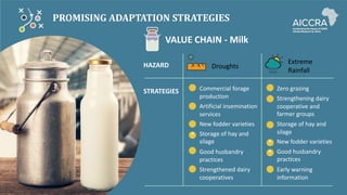 BUNDLING PRACTICES AND SERVICES IN THE DAIRY
VALUE CHAIN KENYA (EXAMPLES)
Practices
• Storage of hay and silage
• Good ani...