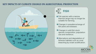 Climate smart agriculture prioritization and policy making