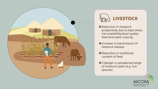 Climate smart agriculture prioritization and policy making