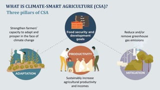 Climate smart agriculture prioritization and policy making