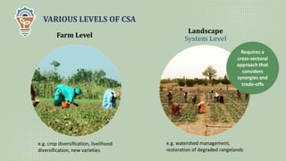 Climate smart agriculture prioritization and policy making