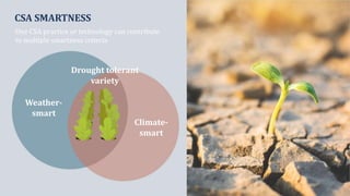 Climate smart agriculture prioritization and policy making
