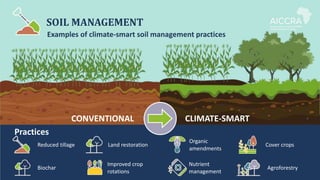 Climate smart agriculture prioritization and policy making