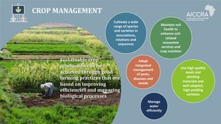 Climate smart agriculture prioritization and policy making
