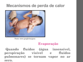 Mecanismos de perda de calor
Evaporação
Quando fluídos (água insensível,
perspiração visível e fluidos
pulmonares) se tornam vapor no ar
seco.
Fonte: www.google/imagens
 