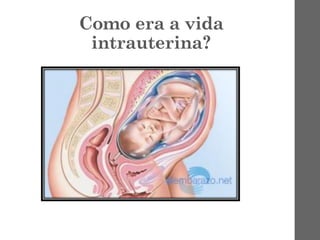 Como era a vida
intrauterina?
 