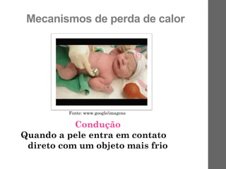 Mecanismos de perda de calor
Condução
Quando a pele entra em contato
direto com um objeto mais frio
Fonte: www.google/imagens
 