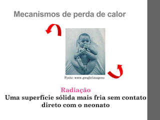 Mecanismos de perda de calor
Radiação
Uma superfície sólida mais fria sem contato
direto com o neonato
Fonte: www.google/imagens
 